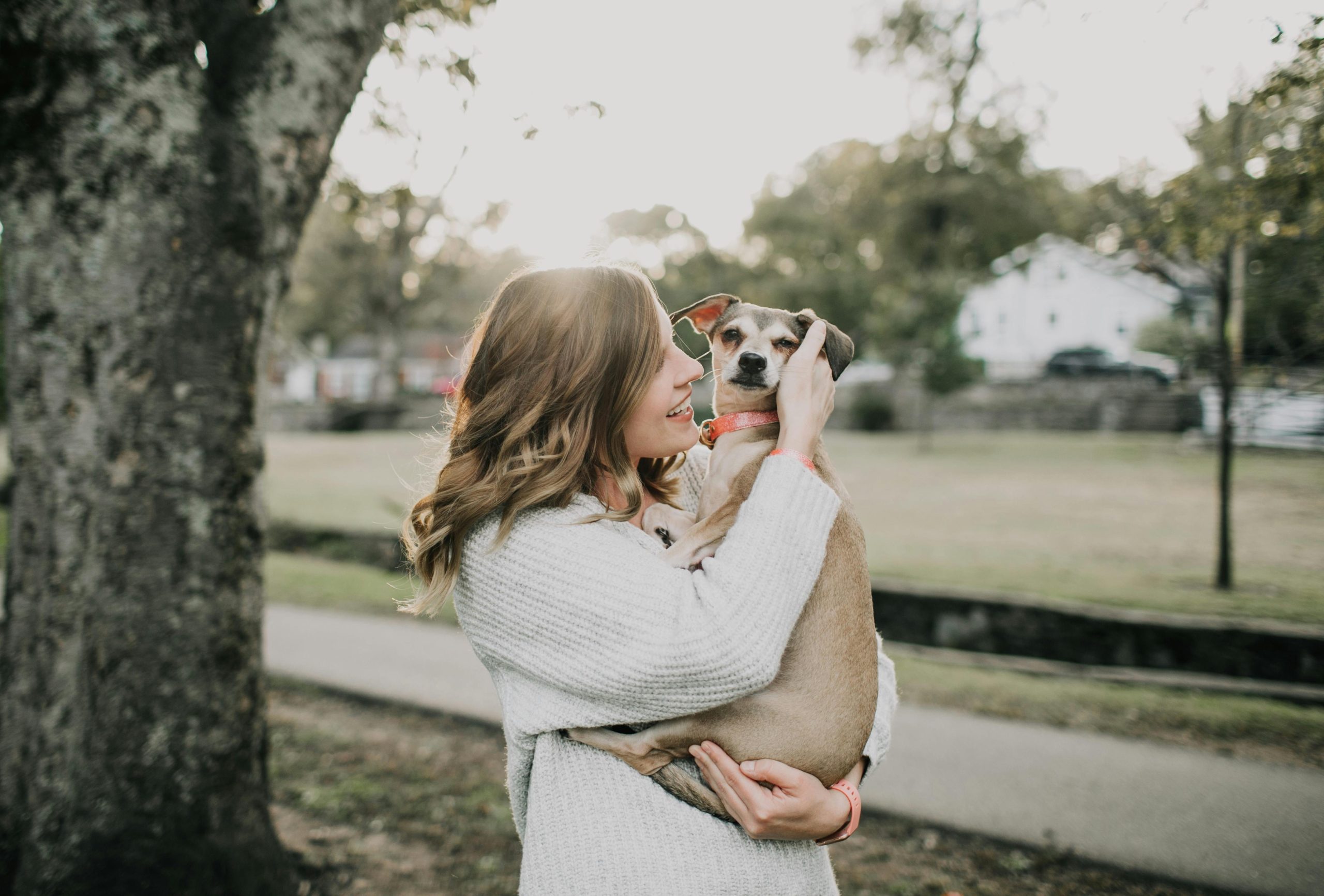 Exploring the Relationship Between Pets and Mental Health