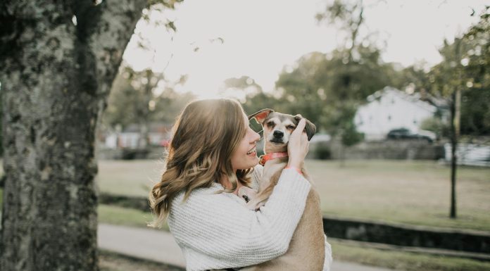 Exploring the Relationship Between Pets and Mental Health